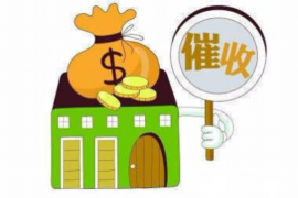 安丘清数公司联系电话：专业服务，一触即达